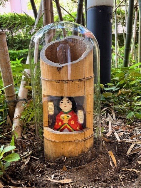 院長ブログ 鶴巻温泉病院　かぐや姫